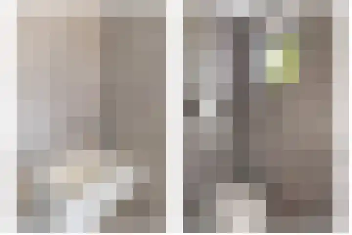 Wikselaarseweg 9 Voorthuizen thumbnail 18
