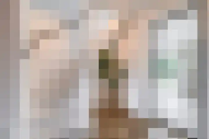 Wikselaarseweg 9 Voorthuizen thumbnail 20
