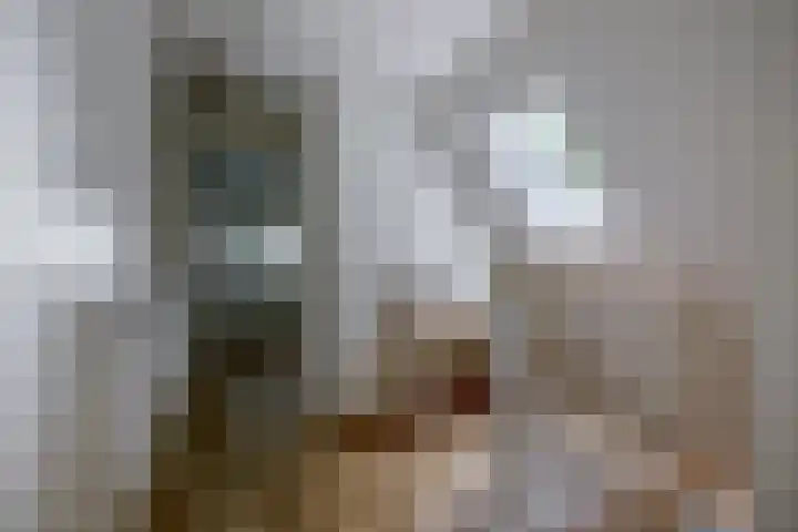 Wikselaarseweg 9 Voorthuizen thumbnail 21