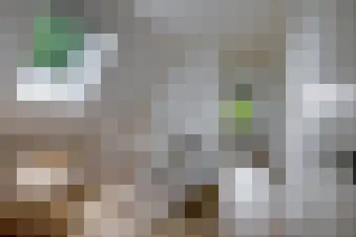 Wikselaarseweg 9 Voorthuizen thumbnail 22
