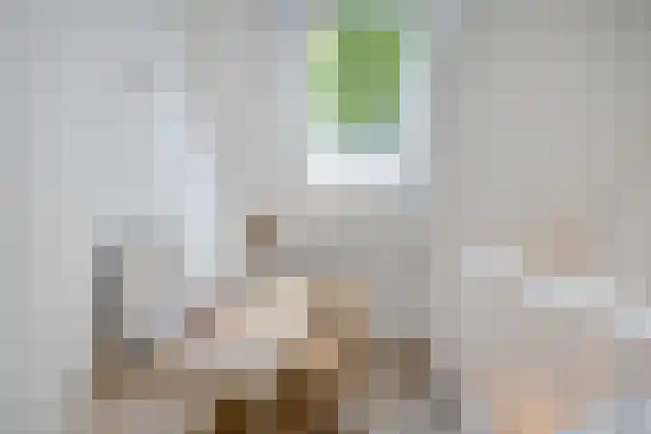Wikselaarseweg 9 Voorthuizen thumbnail 23