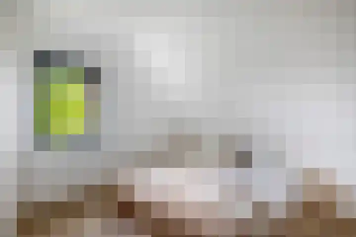 Wikselaarseweg 9 Voorthuizen thumbnail 24
