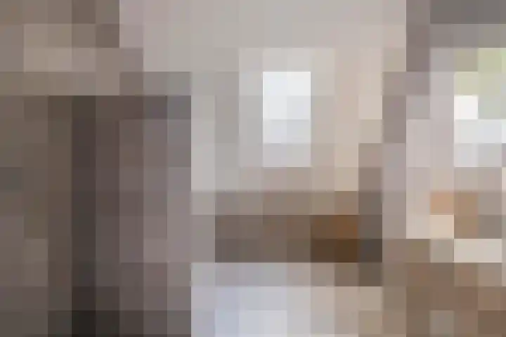 Wikselaarseweg 9 Voorthuizen thumbnail 26