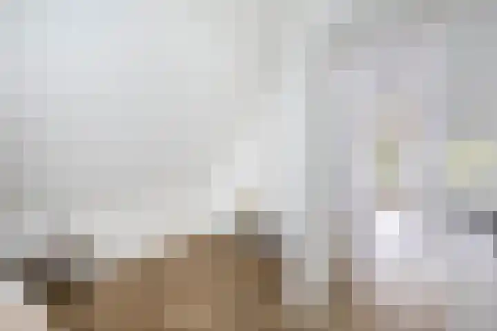 Wikselaarseweg 9 Voorthuizen thumbnail 32