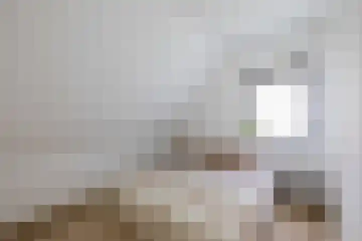 Wikselaarseweg 9 Voorthuizen thumbnail 33