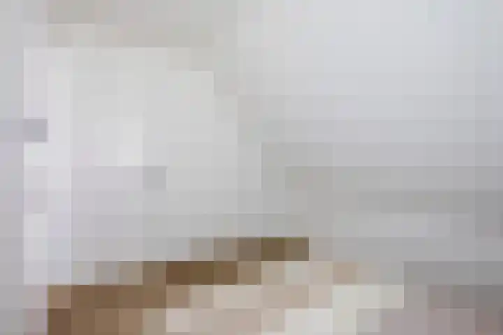 Wikselaarseweg 9 Voorthuizen thumbnail 34