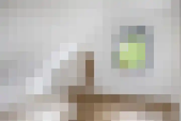 Wikselaarseweg 9 Voorthuizen thumbnail 35