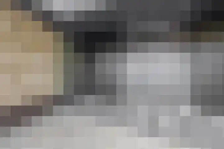 Wikselaarseweg 9 Voorthuizen thumbnail 38