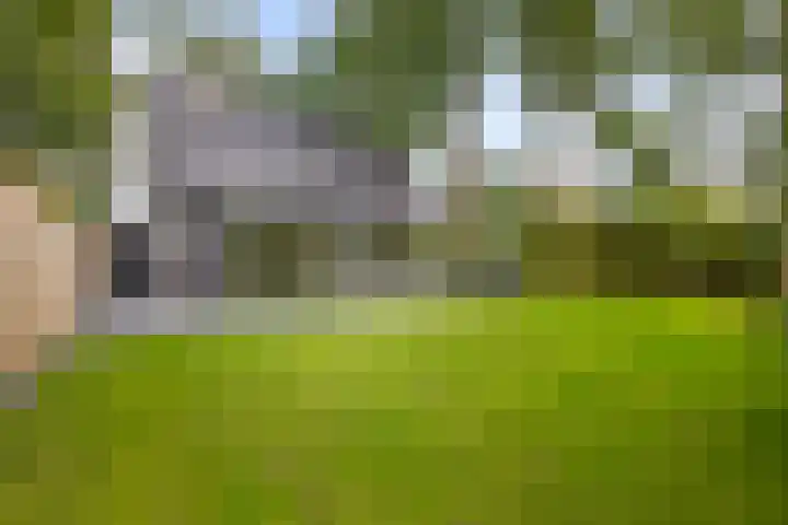 Wikselaarseweg 9 Voorthuizen thumbnail 39
