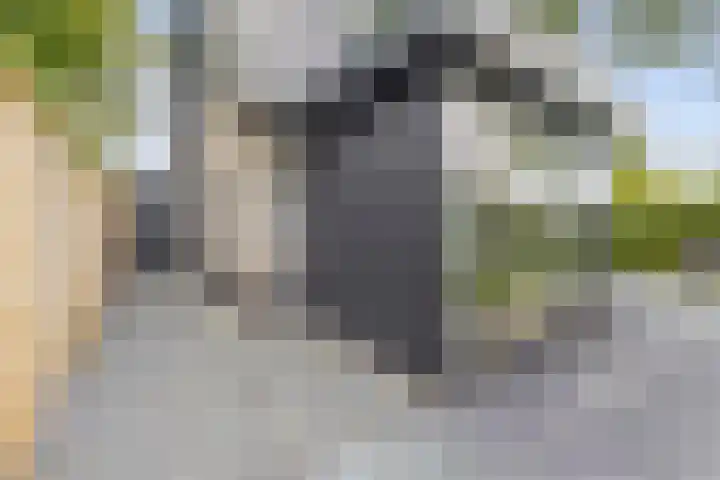 Wikselaarseweg 9 Voorthuizen thumbnail 40