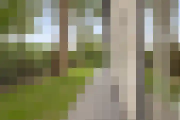 Wikselaarseweg 9 Voorthuizen thumbnail 43
