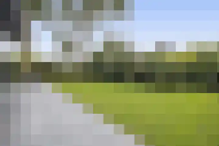 Wikselaarseweg 9 Voorthuizen thumbnail 44
