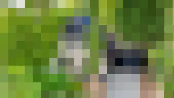 Wikselaarseweg 9 Voorthuizen thumbnail 45