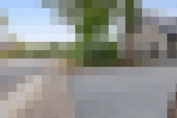 Wikselaarseweg 9 Voorthuizen thumbnail 46