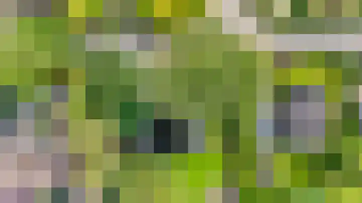 Wikselaarseweg 9 Voorthuizen thumbnail 47