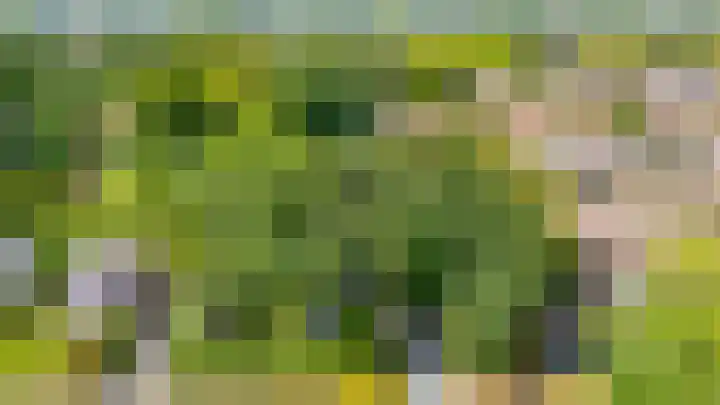 Wikselaarseweg 9 Voorthuizen thumbnail 48