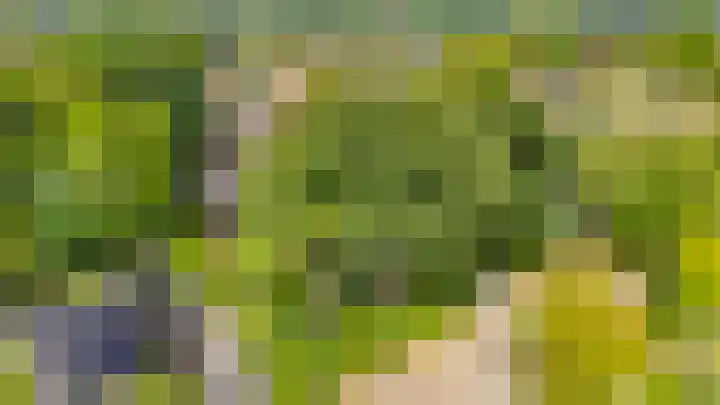 Wikselaarseweg 9 Voorthuizen thumbnail 49