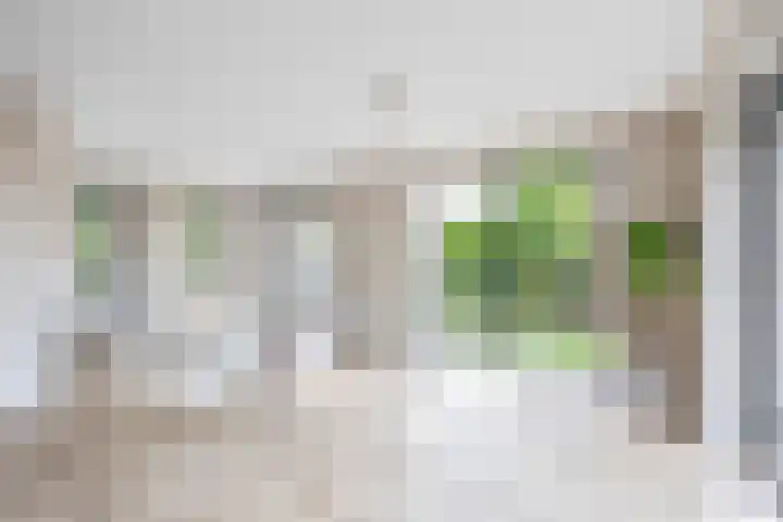Wikselaarseweg 9 Voorthuizen thumbnail 5