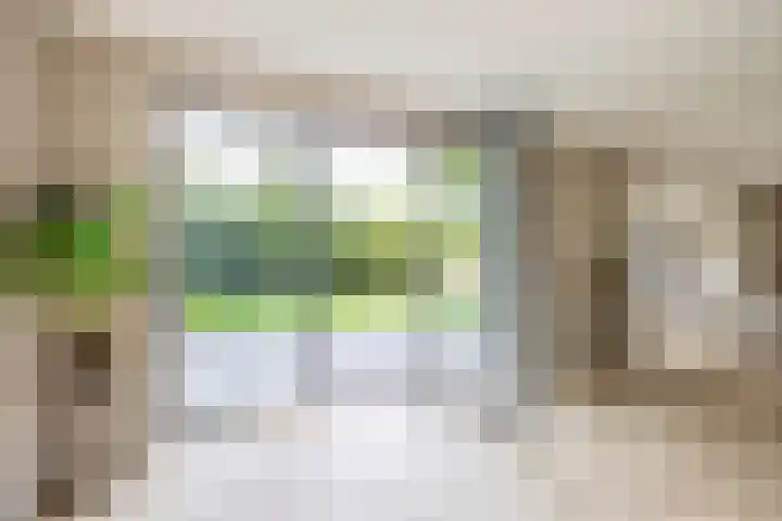 Wikselaarseweg 9 Voorthuizen thumbnail 8