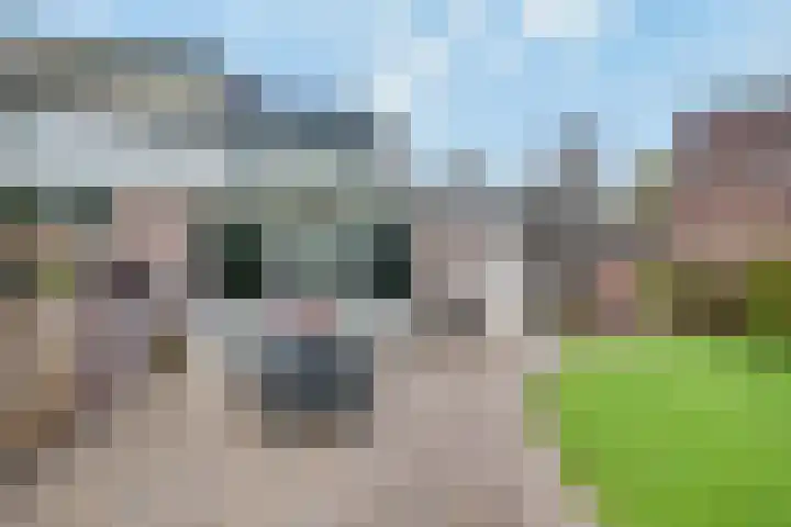 Wikveld 27 's-Hertogenbosch thumbnail 22