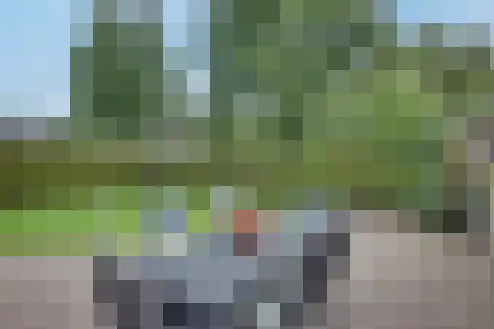 Wikveld 27 's-Hertogenbosch thumbnail 24