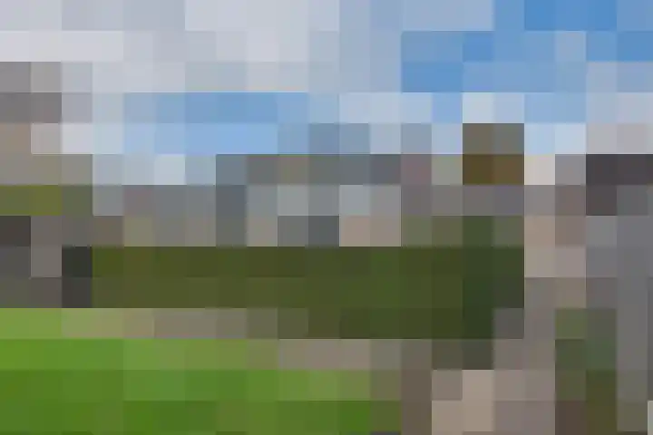 Wikveld 27 's-Hertogenbosch thumbnail 25
