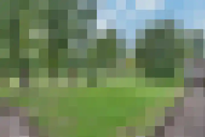 Wikveld 27 's-Hertogenbosch thumbnail 26