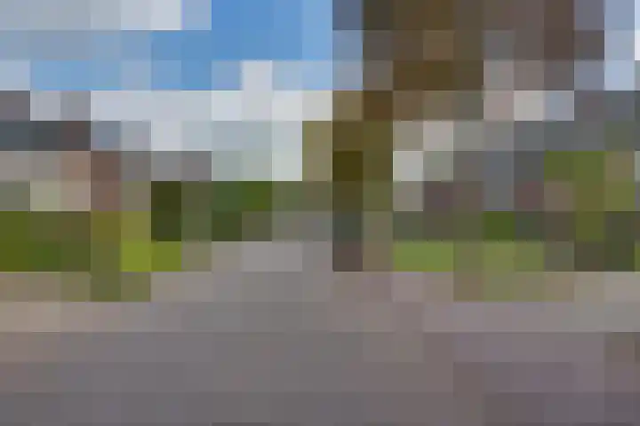 Wikveld 27 's-Hertogenbosch thumbnail 29