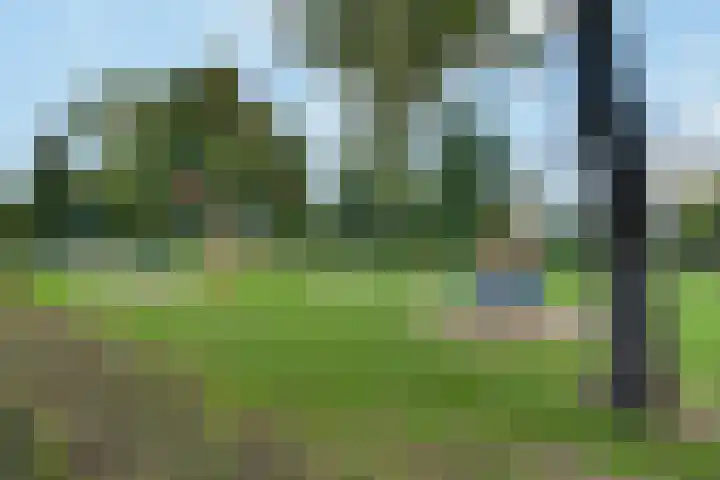 Wikveld 27 's-Hertogenbosch thumbnail 31