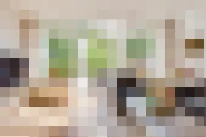 Wikveld 27 's-Hertogenbosch thumbnail 6