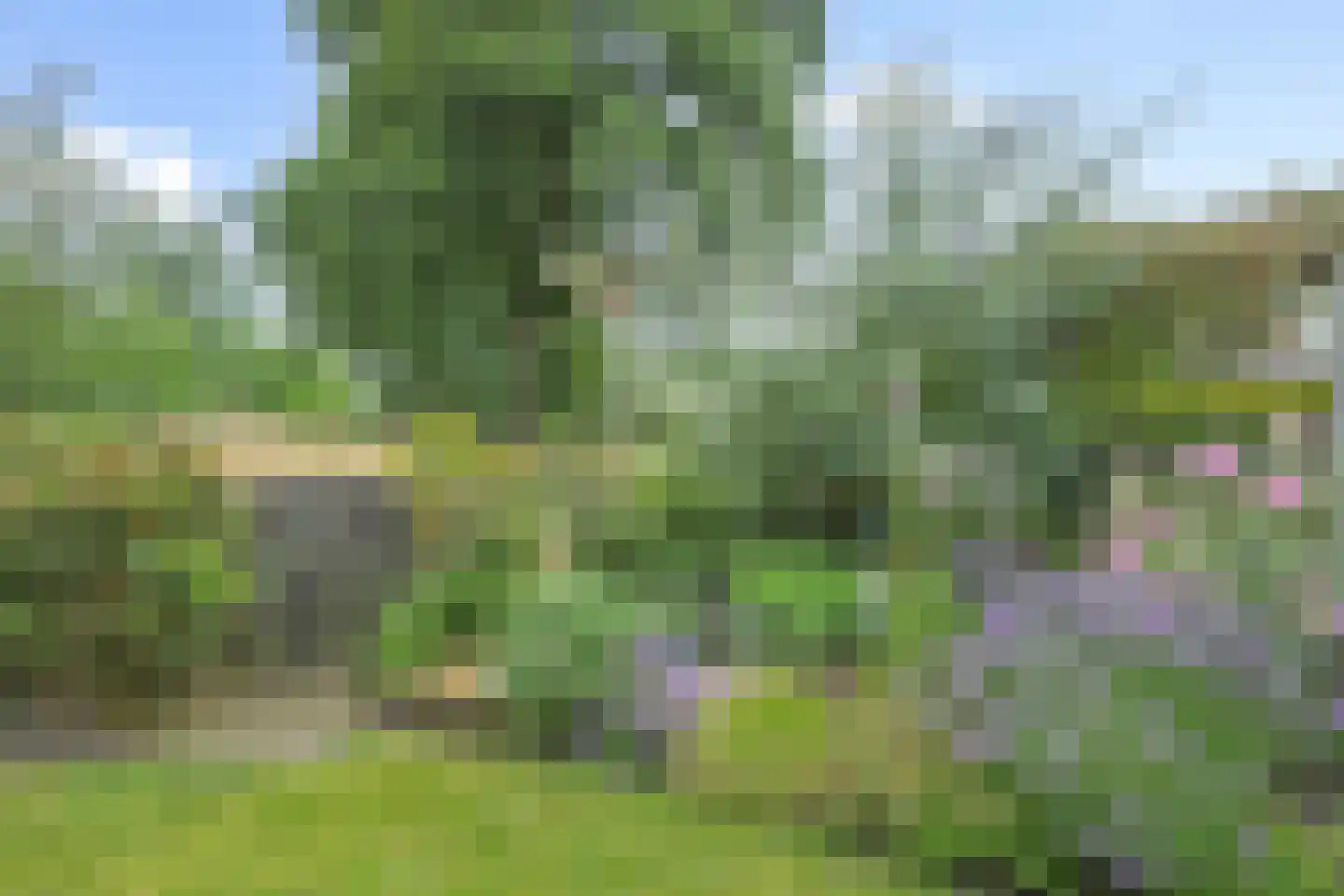 Wikveld 59 's-Hertogenbosch thumbnail 20