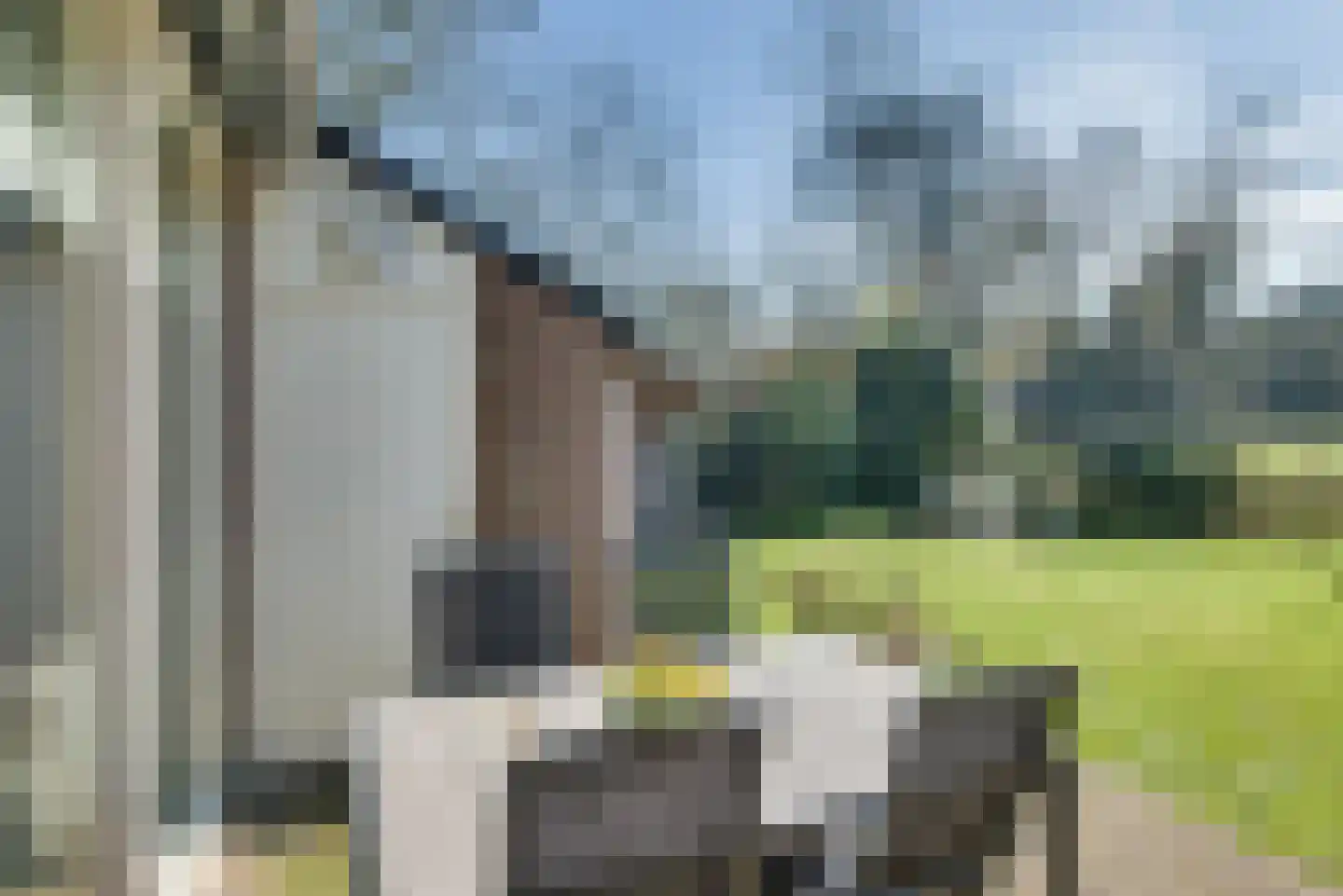 Wikveld 59 's-Hertogenbosch thumbnail 25