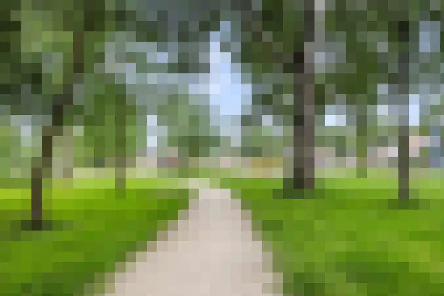 Wikveld 59 's-Hertogenbosch thumbnail 26