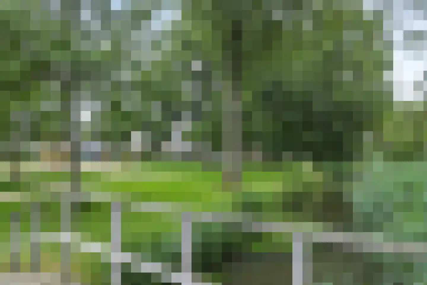 Wikveld 59 's-Hertogenbosch thumbnail 27