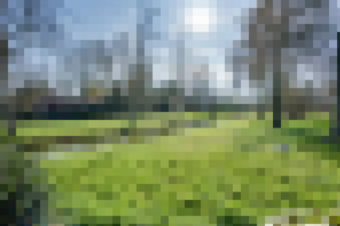 Wikveld 59 's-Hertogenbosch thumbnail 27