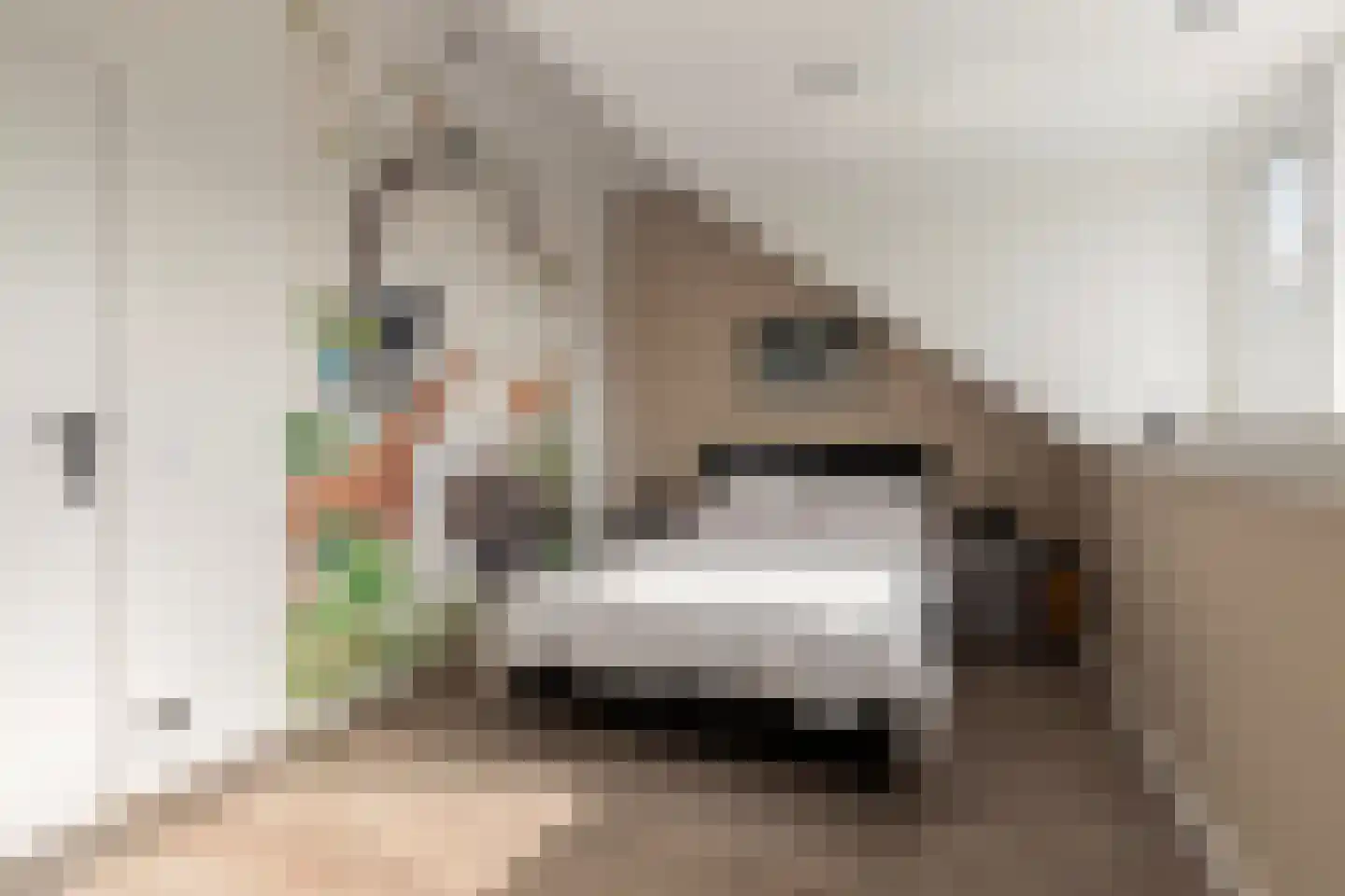 Wil Vinjéstraat 74 Hoek van Holland thumbnail 30