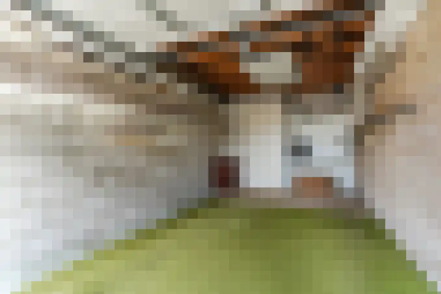 Wilack 237 Uden thumbnail 38