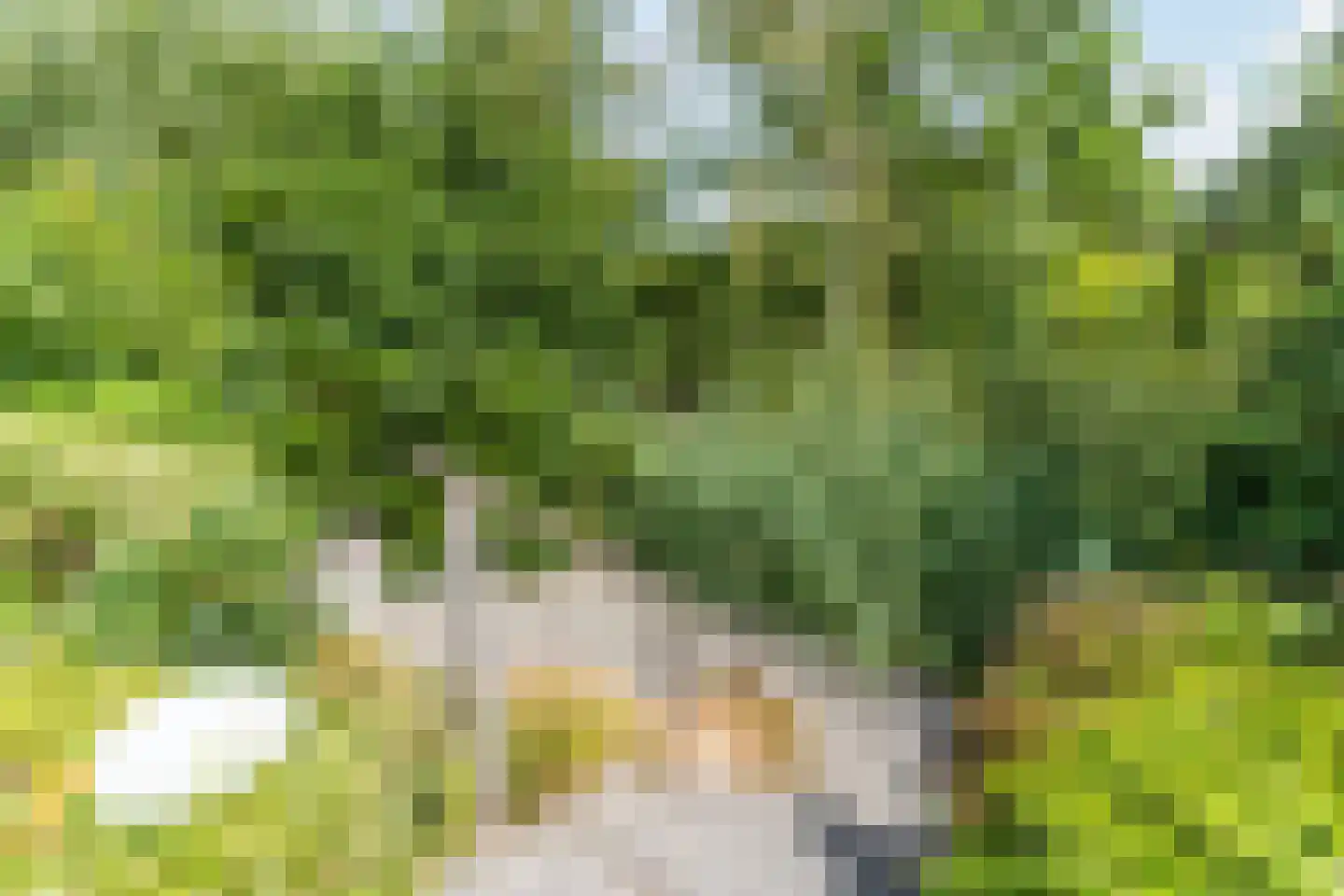 Wilack 237 Uden thumbnail 47