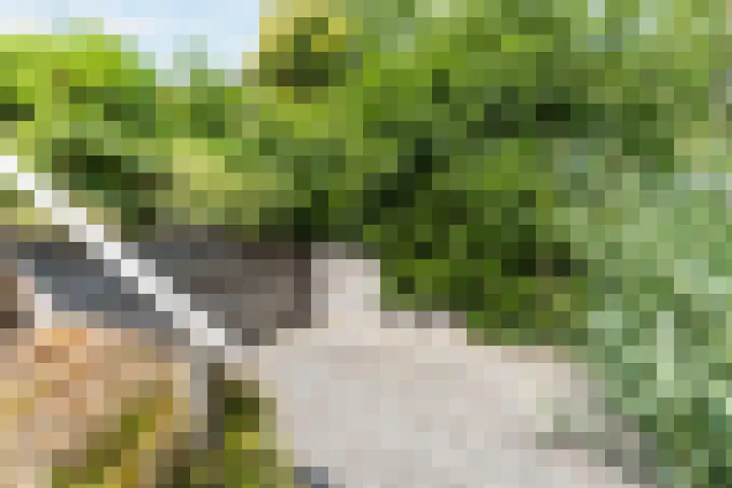 Wilack 237 Uden thumbnail 48