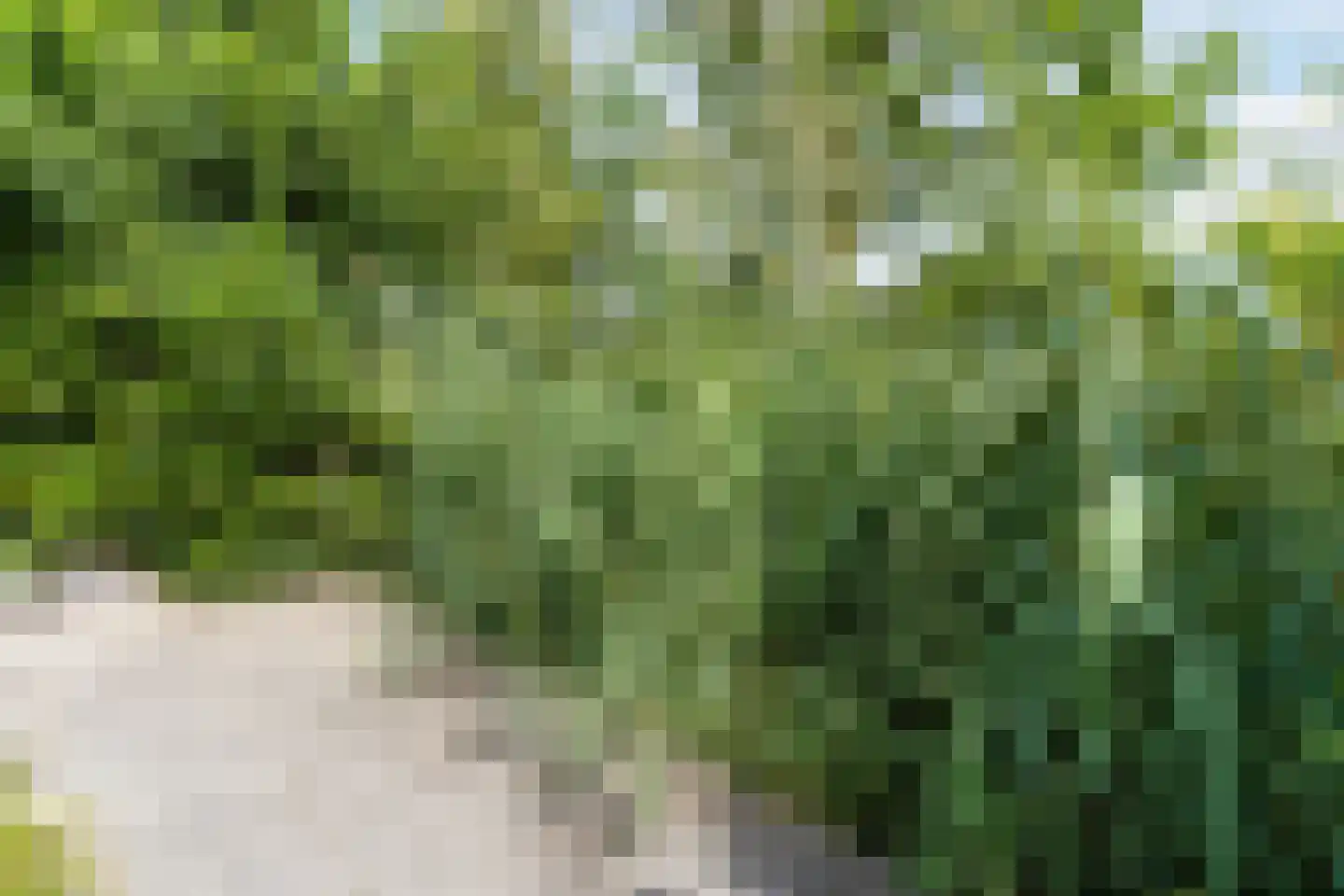 Wilack 237 Uden thumbnail 49