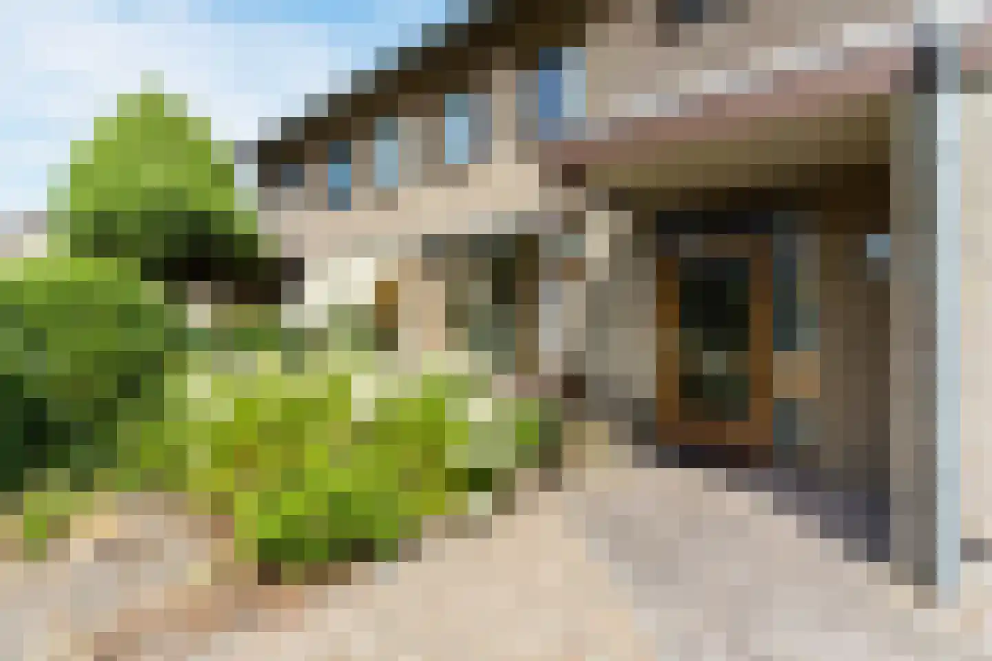 Wilack 237 Uden thumbnail 5