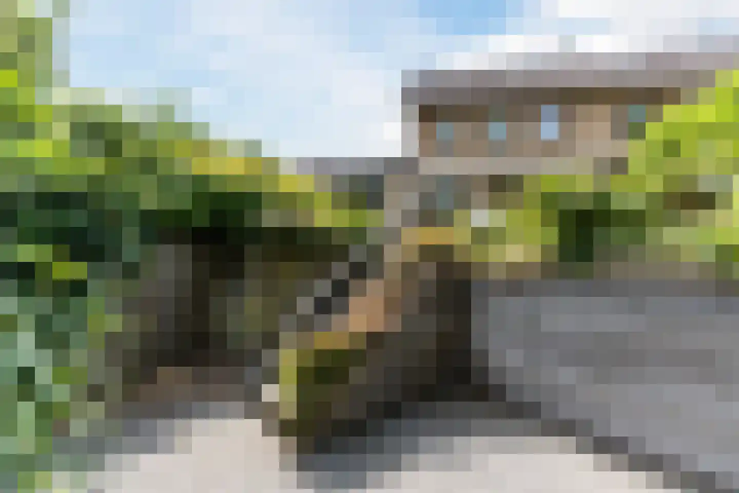 Wilack 237 Uden thumbnail 50