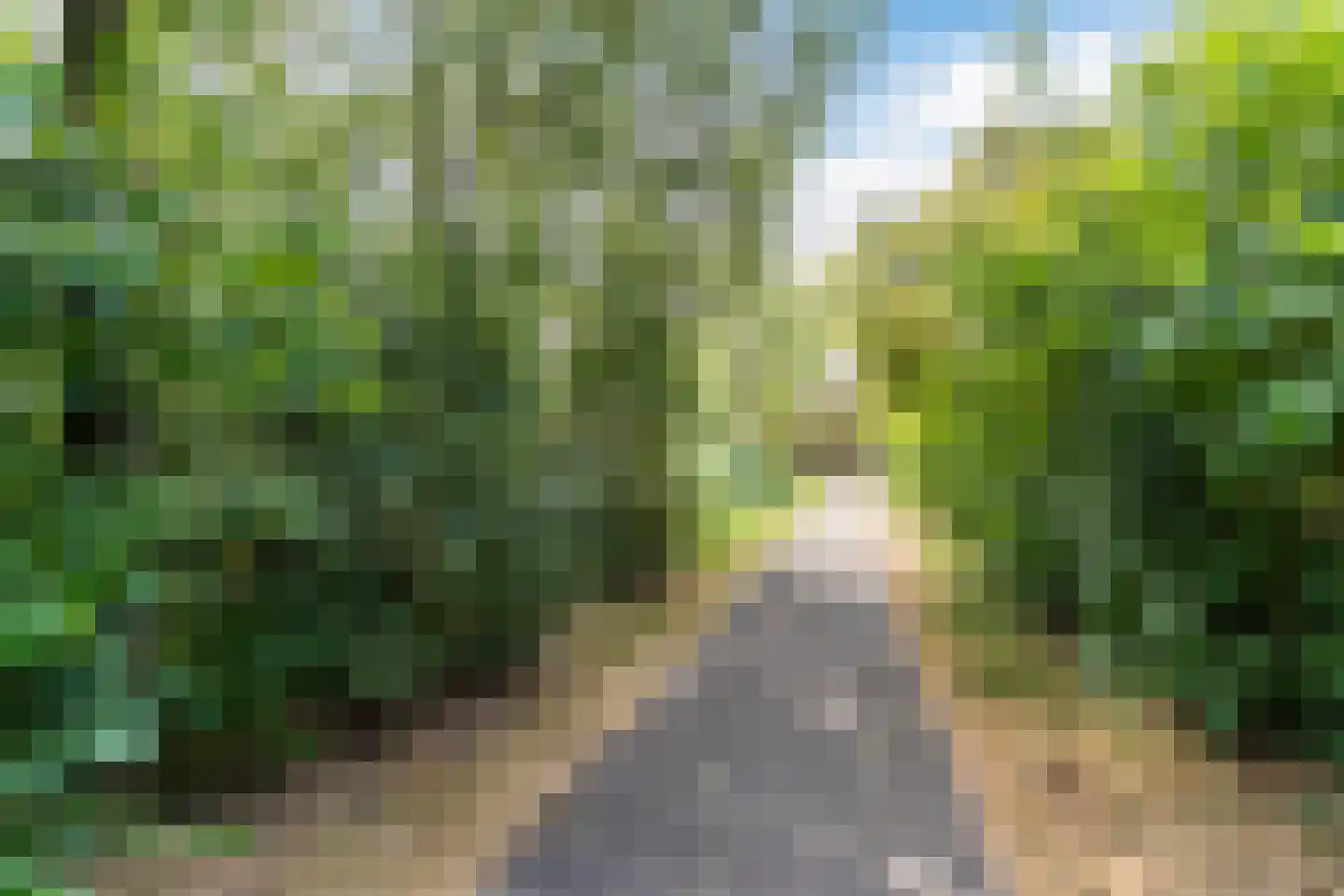 Wilack 237 Uden thumbnail 53