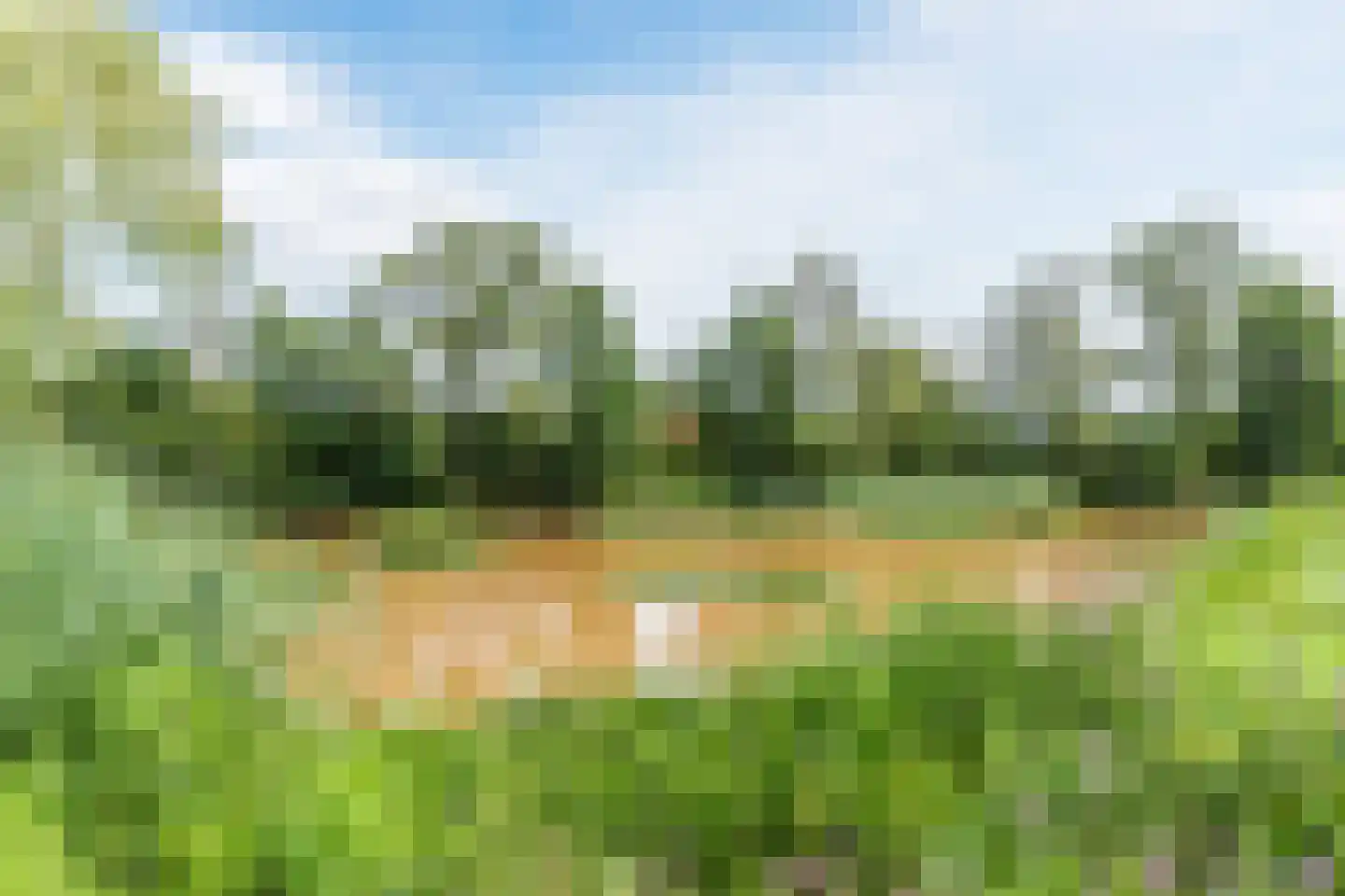Wilack 237 Uden thumbnail 54