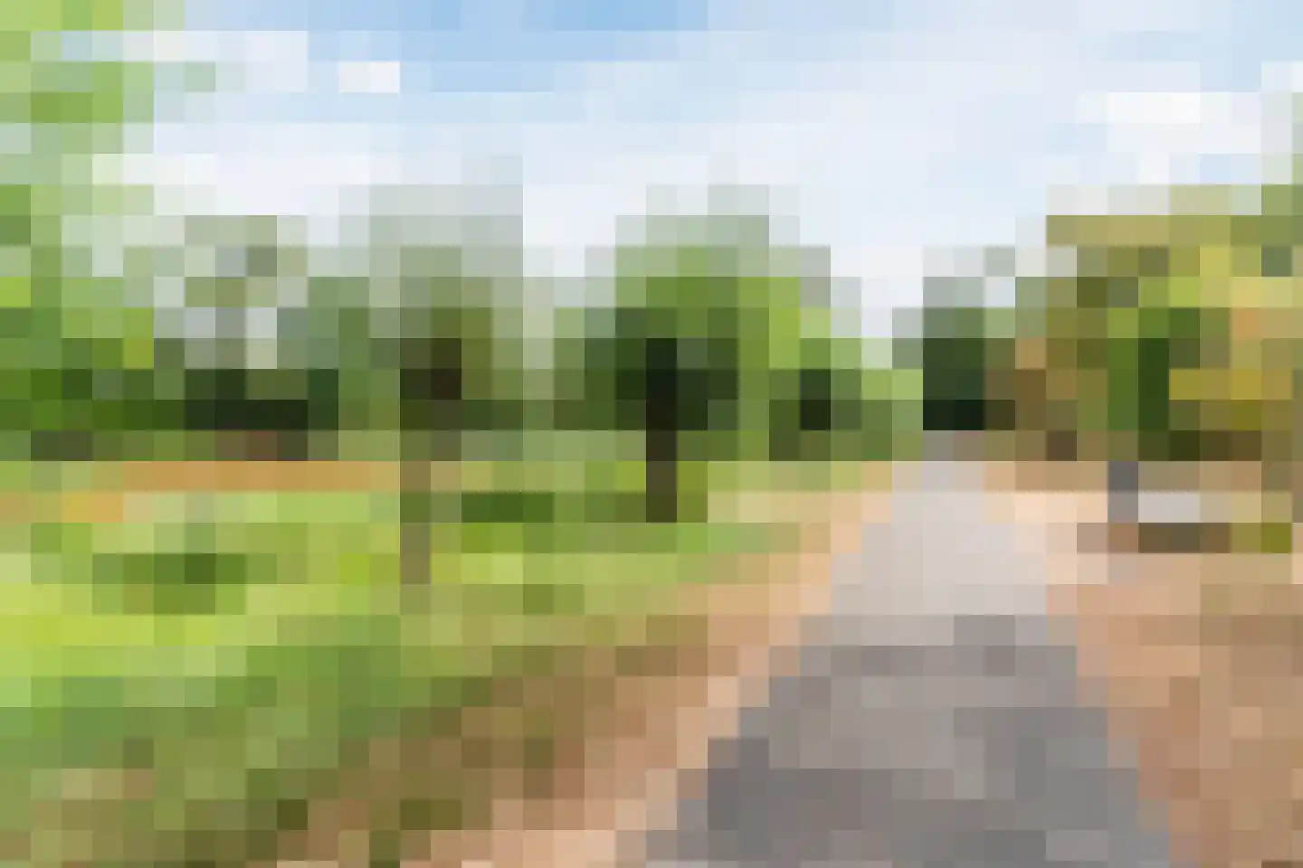 Wilack 237 Uden thumbnail 55