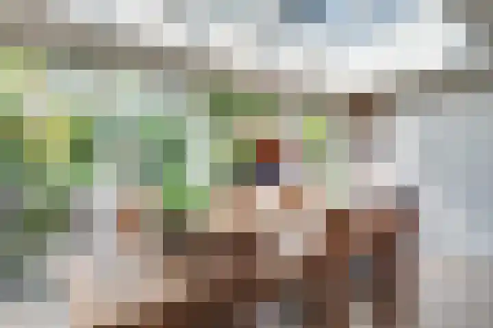 Wilack 301 Uden thumbnail 11