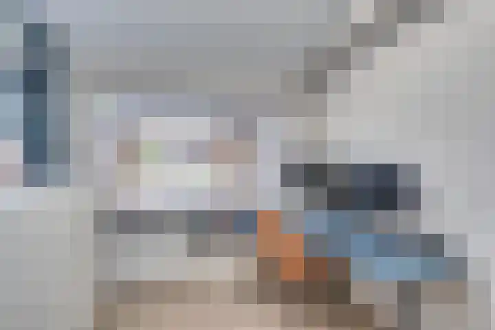 Wilack 301 Uden thumbnail 15