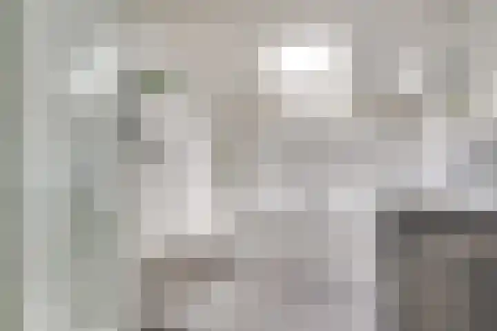 Wilack 301 Uden thumbnail 21