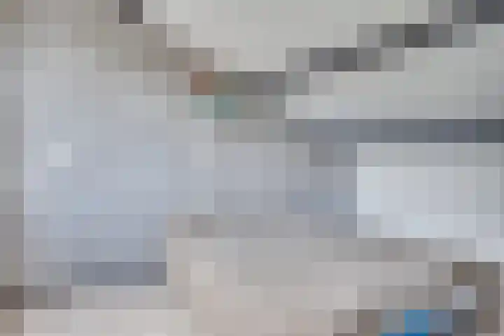 Wilack 301 Uden thumbnail 24