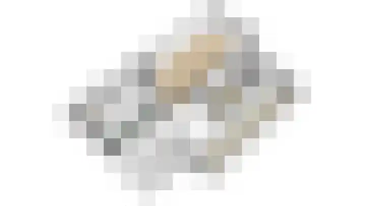 Wilack 301 Uden thumbnail 27